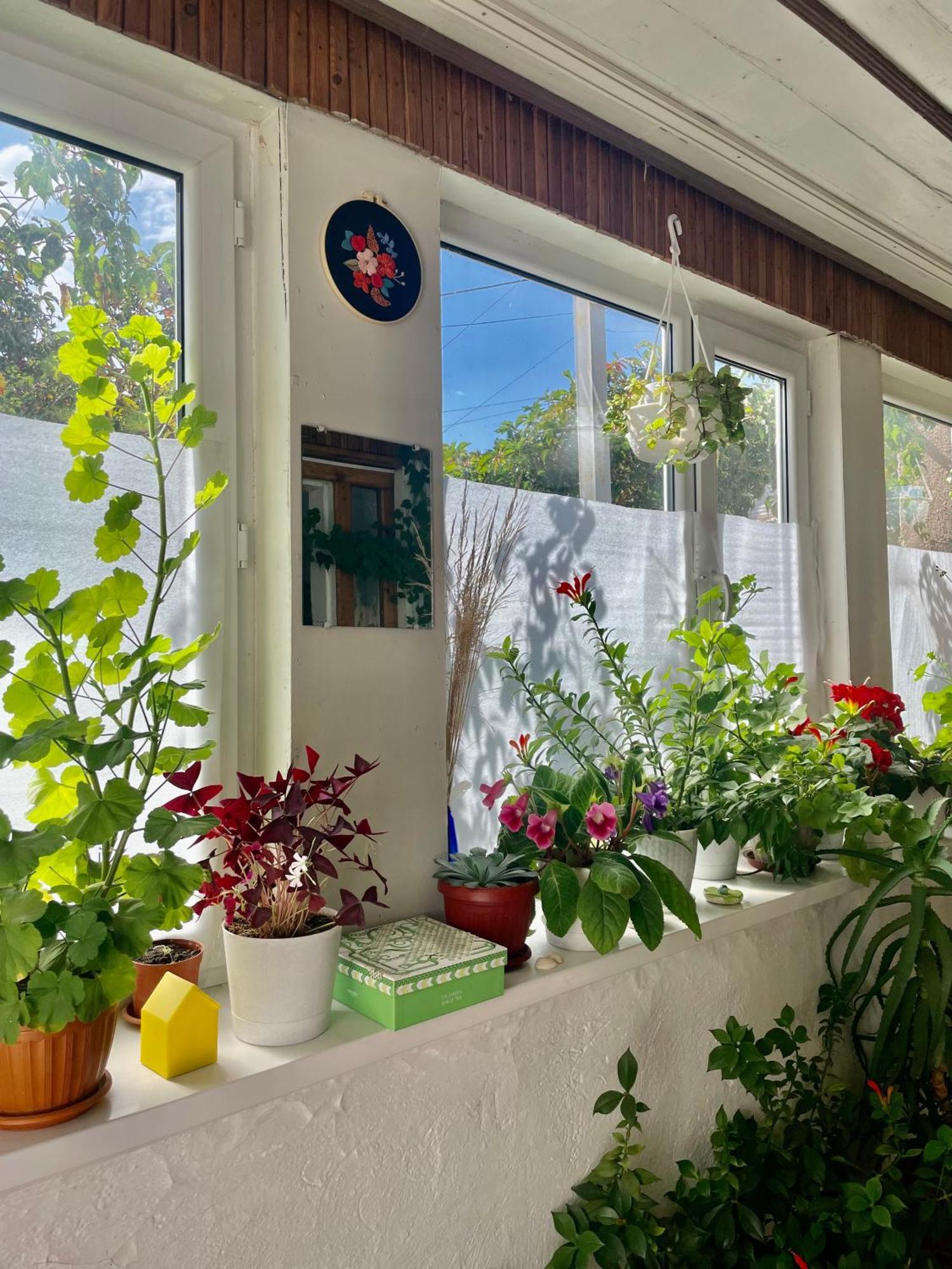 Gulnara Guest House Balykchy ภายนอก รูปภาพ